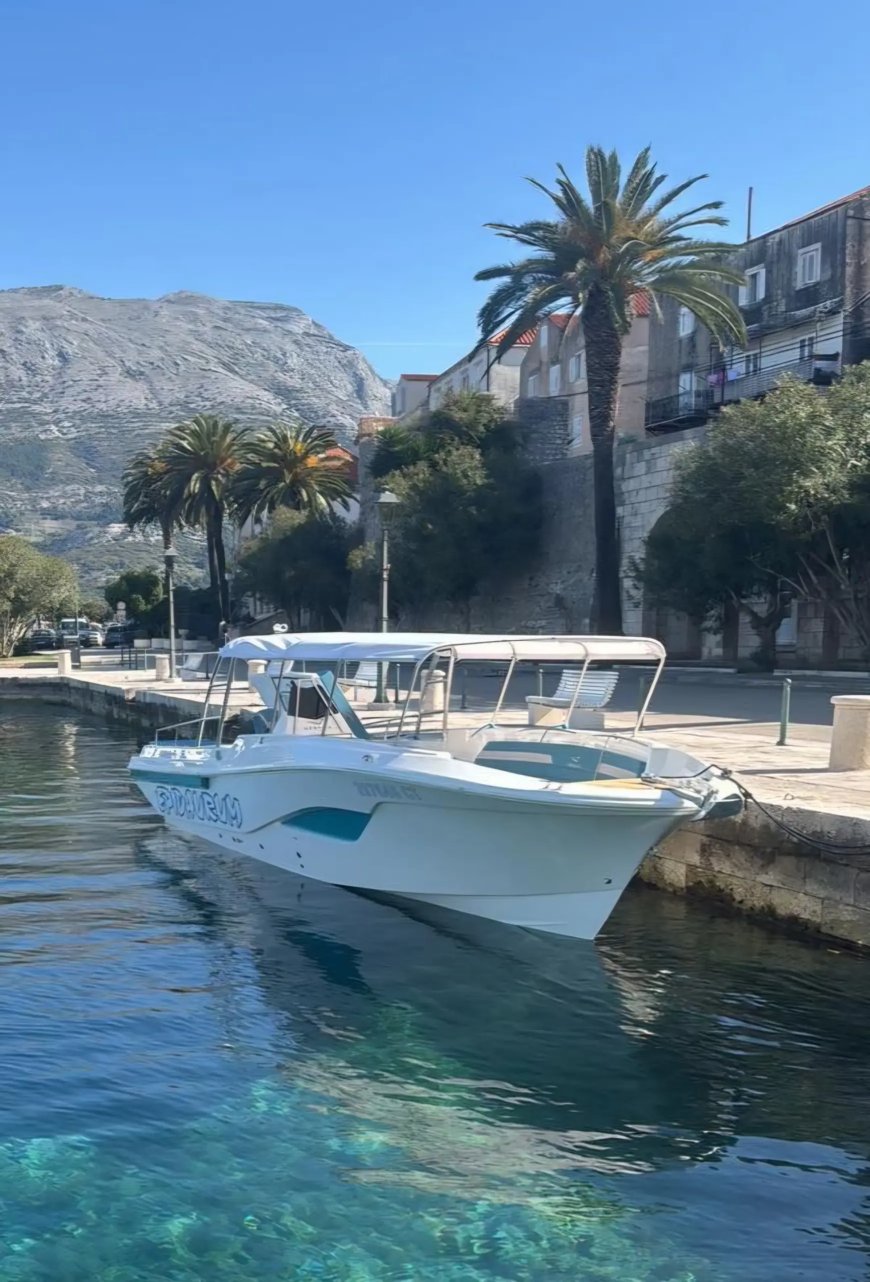 Speedboat moored on the palm-lined Cavtat waterfront
