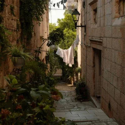 matthew-hamilton-wb-b0cUDsE4-unsplash 1